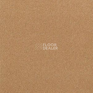 Ковролин Brintons Majestic Baja m 296 фото 1 | FLOORDEALER